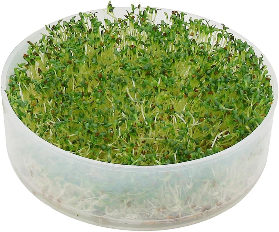 VKP Brands 4-Tray Sprouter