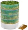 VKP Brands 4-Tray Sprouter