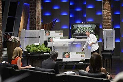 Raised Garden Bed with Self-Watering System & Protective Cover | Elevated Planter Box (Waist-Height, Medium) – 10-Year Warranty | Container Gardening Kit for Vegetables, Herbs & Flowers