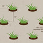 Zoysia Plugs – 50 Large Grass Plugs  | Drought Tolerant, Low Maintenance EZPlugs for Lush Lawn  | Easy to Grow & Maintain