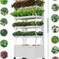 Hydroponics Growing System Tower Indoor Herb Garden Kit with Grow Light | Smart Garden for Home Kitchen Windowsill | Vegetable Gardening Starter