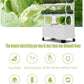 Hydroponics Growing System Tower Indoor Herb Garden Kit with Grow Light | Smart Garden for Home Kitchen Windowsill | Vegetable Gardening Starter