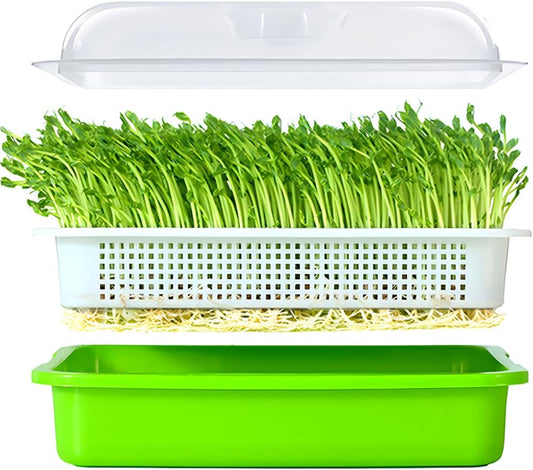 Seed Sprouter Tray BPA Free PP Soil-Free Big Capacity Healthy Wheatgrass Grower with Lid Sprouting Kit 13.4x9.84x4.72 inches