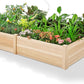 8x4 Ft Wood Raised Garden Bed – Durable 15-Inch Depth Planter Box for Vegetables, Herbs, and Flowers – Ideal for Outdoor Gardening with Open Base