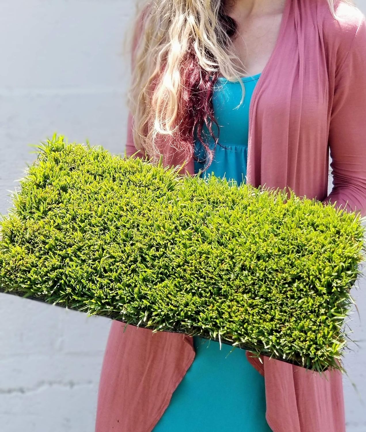 Zoysia Plugs – 50 Large Grass Plugs  | Drought Tolerant, Low Maintenance EZPlugs for Lush Lawn  | Easy to Grow & Maintain