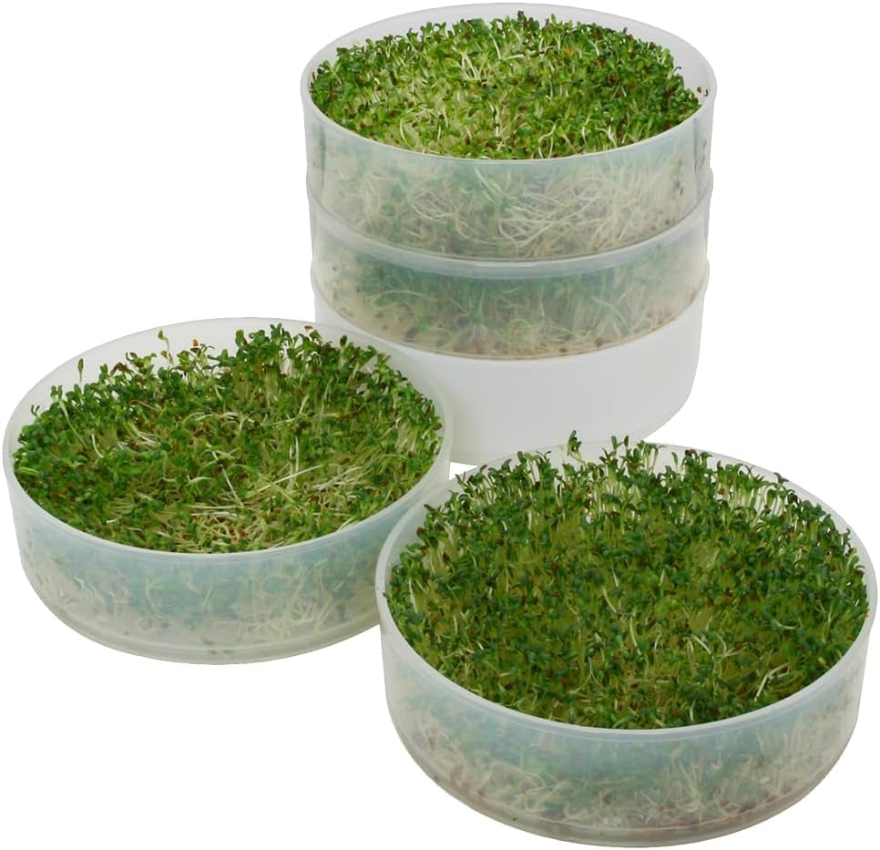 VKP Brands 4-Tray Sprouter