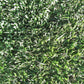 Zoysia Plugs – 50 Large Grass Plugs  | Drought Tolerant, Low Maintenance EZPlugs for Lush Lawn  | Easy to Grow & Maintain