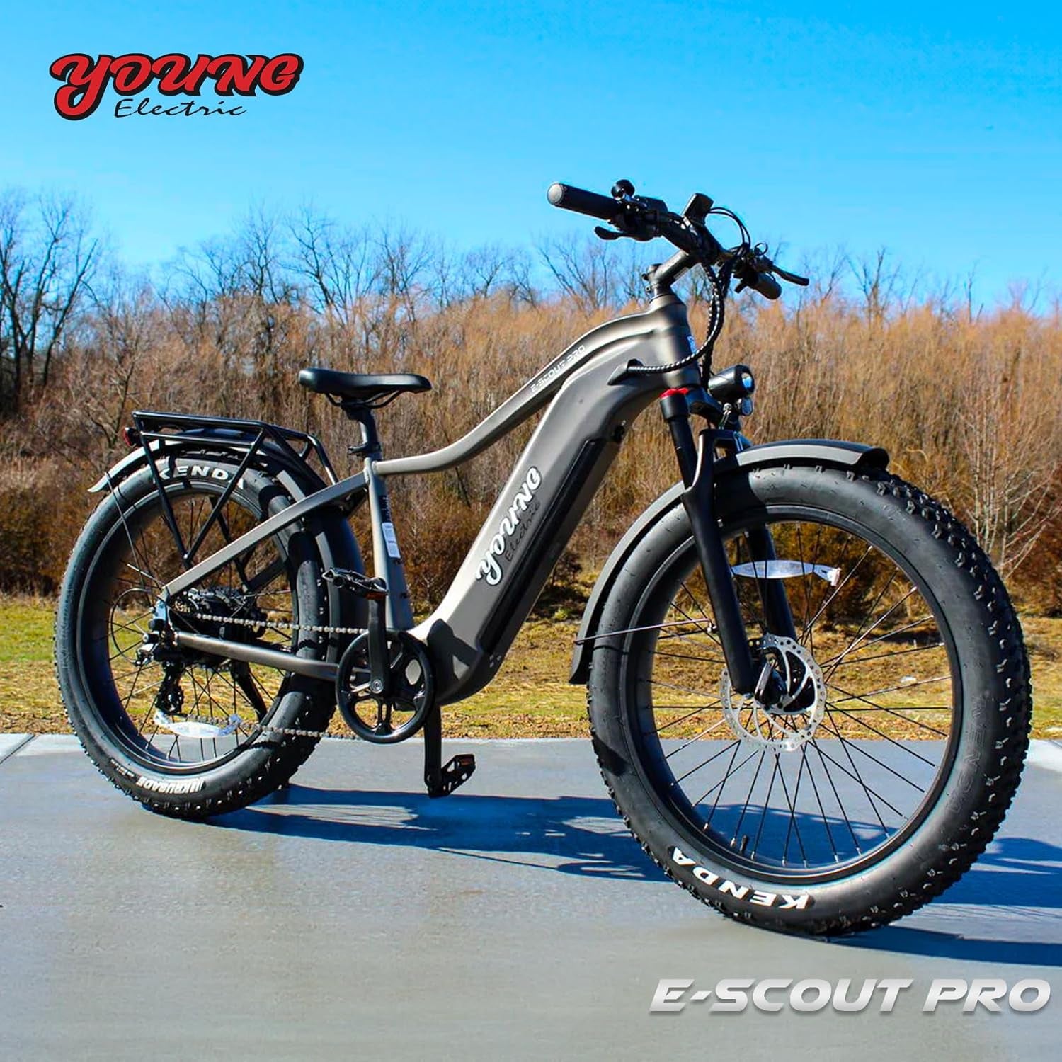 E-Scout PRO, Hunting 750W (Peak 1000W) Young Electric Bike for Adults, 48V/20Ah Battery 3A Fast Charger, Up to 80Mi 28MPH, 26''x4.0'' Fat Tire Mountain Snow Beach Off-Road Ebike